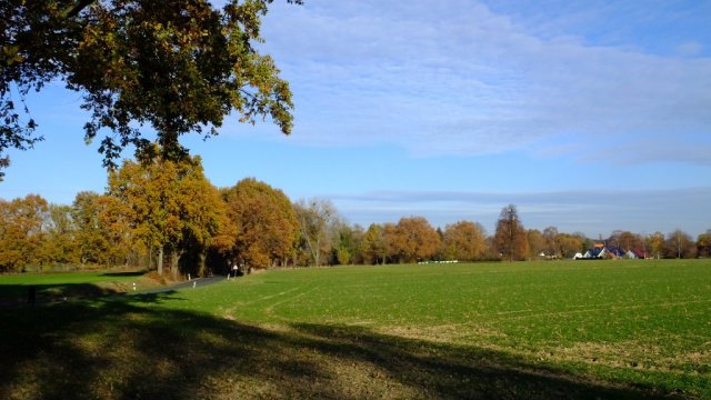 Herbst in Hattrop 2018